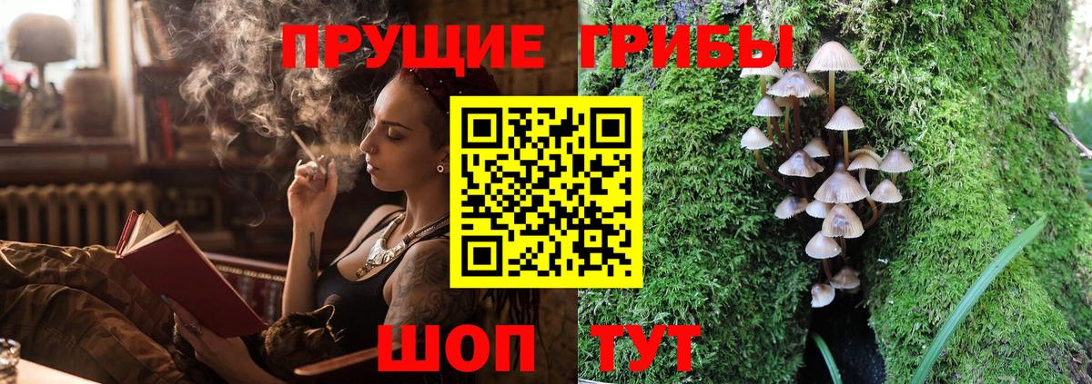 Галлюциногенные грибы GOLDEN TEACHER  Вход с VPN  магазин продажи наркотиков  Россия 